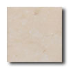 New World New World Joseph 17 X 17 Beige Tile  &  Stone