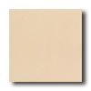 Daltile Daltile Designer Colours 8 X 8 Canvas Tile  &  Stone