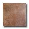Interceramic Interceramic Cotto Andalusi 12 X 12 Alcala Noce Tile  &  Stone