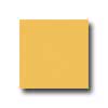 Interceramic Interceramic Bold Tones 6 X 6 Goldenrod Tile  &  Stone
