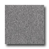 Armstrong Armstrong Excelon Imperial Texture Charcoal Vinyl Flooring