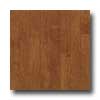 Hartco Hartco Metro Classics 5 Cinnamon Hardwood Flooring