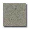 Daltile Daltile Granati Polished 12 X 12 Grigio Windsor Tile  &  Stone