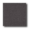 Crossville Crossville Cross-colors A 6 X 6 Polished Onyx Tile  &  Stone