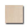 Interceramic Interceramic Valencia 12 X 12 Matte Ocre Tile  &  Stone