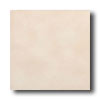 American Olean American Olean Subtle Steps Ii 12 X 12 Tawny Beige Tile  &  Stone