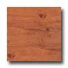 Earth Werks Earth Werks Aberdeen Plank 4928 Vinyl Flooring
