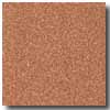 Armstrong Armstrong Safeguard Hydro Slip-retardant Sienna Vinyl Flooring