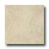 Armstrong Armstrong Colestone 16 X 16 Colestone Creme Tile  &  Stone