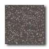 Crossville Crossville Cross-colors Lp 12 X 12 Polished Black Pearl Tile  &  S