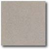 Daltile Daltile Vitrestone Select 8 X 8 Graystone Tile  &  Stone
