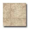 Armstrong Armstrong Natural Fusion - Cantera Tan Vinyl Flooring