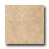 Interceramic Interceramic Ancient Marbles 8 X 12 Noce Tile  &  Stone