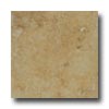 Mohawk Mohawk Mirador 20 X 20 Golden Amber Tile  &  Stone