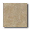 New World New World Texas 13 X 13 Beige Tile  &  Stone