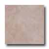 Tesoro Tesoro Montebello 10 X 13 Taupe Tile  &  Stone