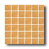 Daltile Daltile Design Porcelain Unpolished Mosaic Pietra Di Sole Tile  &