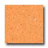 Mannington Mannington Brushwork Cadmium Orange Vinyl Flooring