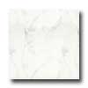 Portobello Portobello Marmi 18 X 18 Carrara Bianco Tile  &  Stone