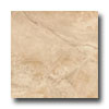 Tesoro Tesoro Painted Desert 13 X 13 Mocha Tile  &  Stone