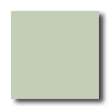 American Olean American Olean Bright 4 X 4 Bright Light Aspen Tile  &  Stone