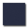Milliken Milliken Harmony 8 Square Midnight Area Rugs