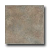 Earth Werks Earth Werks Madrid Stone Ams825 Vinyl Flooring