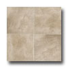 Mohawk Mohawk Paradiso 6 X 6 Biscotti Tile  &  Stone