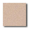 Crossville Crossville Cross-colors A 8 X 8 Polished Sand Bisque Tile  &  Ston