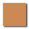 Daltile Daltile Festiva 6 X 6 Amber Tile  &  Stone