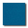 American Olean American Olean Terra Paver Polished 12 X 12 China Blue Tile  &  St