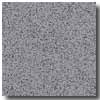 Armstrong Armstrong Safeguard Slip-retardant Gray Vinyl Flooring