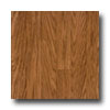 Tarkett Tarkett Preference Plus Nt - Oaken 6 Cumin Vinyl Flooring