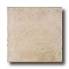 Armstrong Armstrong Italian Room 6 X 12 Grotto Tile  &  Stone