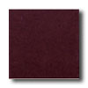 American Olean American Olean Integra 8 X 8 Wine Solid Tile  &  Stone