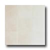 Casa Dolce Casa Casa Dolce Casa Neutra 24 X 24 Silver Tile  &  Stone