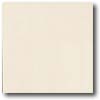 Daltile Daltile Porcealto (polished) 12 X 12 Bianco Ghiaccio (solid) Til