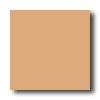American Olean American Olean Quarry Tile Abrasive 6 X 6 Sahara Tile  &  Stone