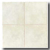 Mannington Mannington Masseria 5 X 5 Oyster White Tile  &  Stone