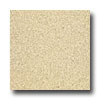 Armstrong Armstrong Medintech Tandem Inlaid Oatmeal Vinyl Flooring
