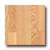 Pergo Pergo Everyday Golden Oak Laminate Flooring