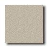 Mannington Mannington Biospec Flax Vinyl Flooring