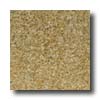 Milliken Milliken Tesserae Spectrum Cinnamon Carpet Tiles