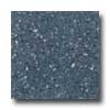 Santa Regina Santa Regina Architectural 16 X 16 (antique) Sapphire Terrazzo T