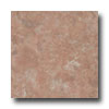 Nafco Nafco Elements 12 X 12 Cordoba Brown Vinyl Flooring