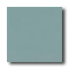 Crossville Crossville Cross-colors C 8 X 8 Polished Bayberry Tile  &  Stone