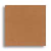 Daltile Daltile Natural Hues 3 X 6 Latte Tile  &  Stone