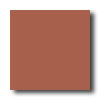 American Olean American Olean Quarry Tile 6 X 6 Canyon Red Tile  &  Stone