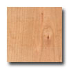 Stepco Stepco Cherry 4 Unfinished Cherry - Clear Hardwood Flooring