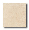 Daltile Daltile Calabria 12 X 12 Biscotti Tile  &  Stone